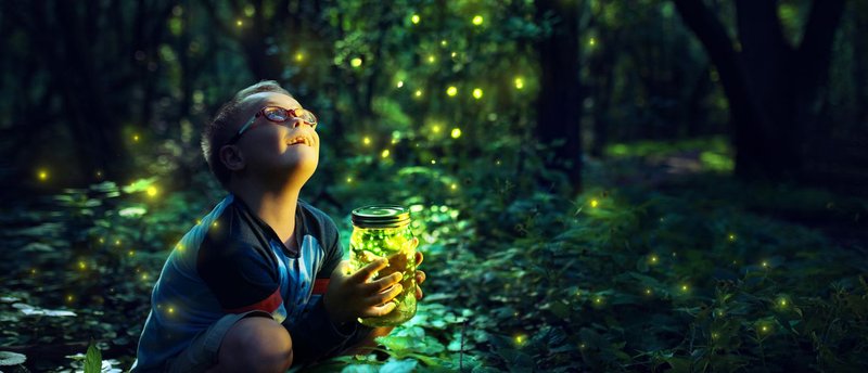 Firefly_Boy.jpg.1420x0_q80_crop-smart_size_canvas_upscale