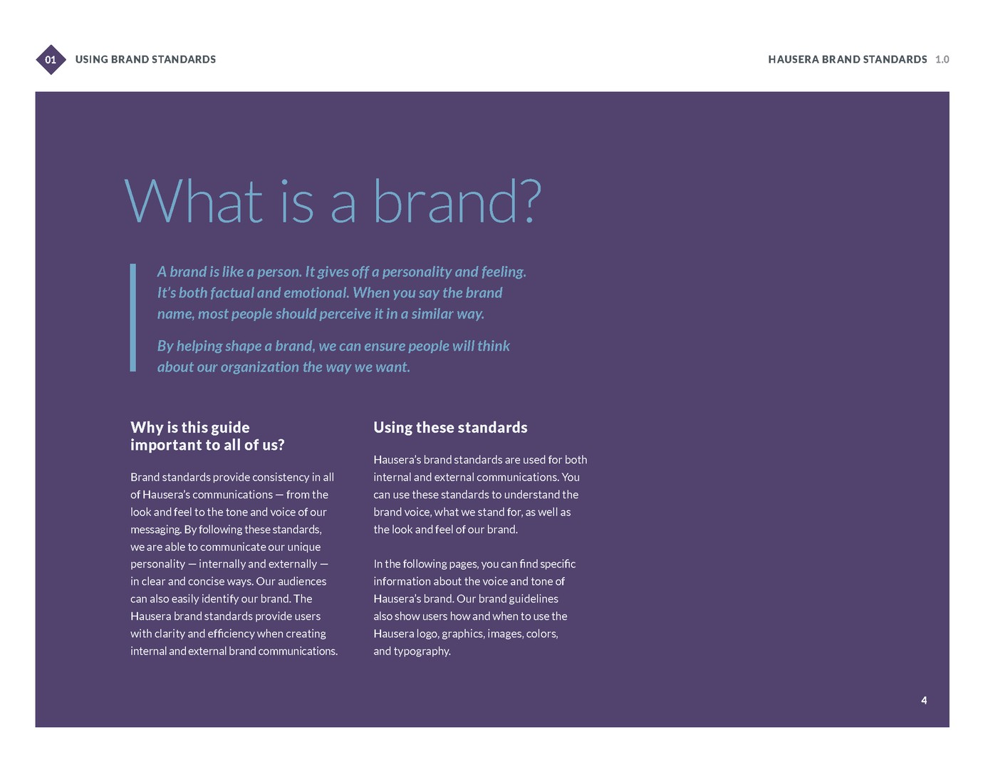 What is a brand? page in Haursera brand standards