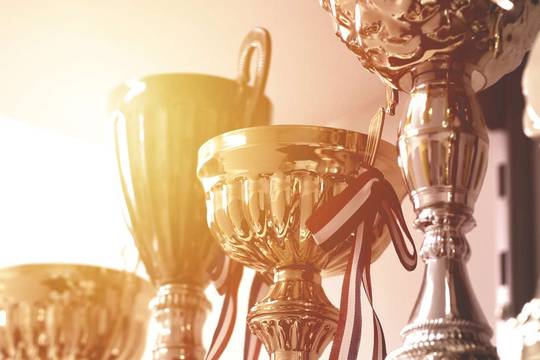 trophies in golden light