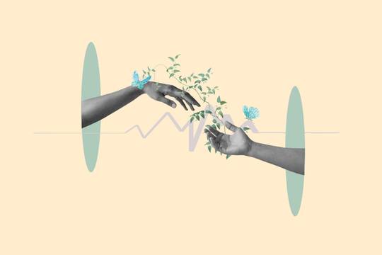 two hands meeting with growing flowers around them