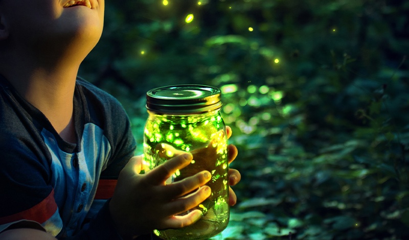Boy sitting in forest with jar of fireflies