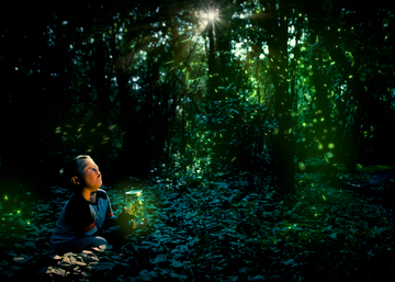 little boy looking at fireflies