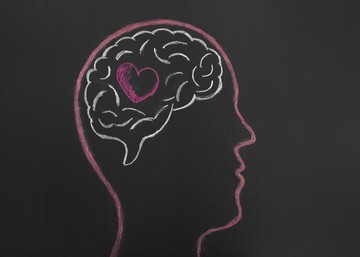 chalk board drawing with heart inside of brain