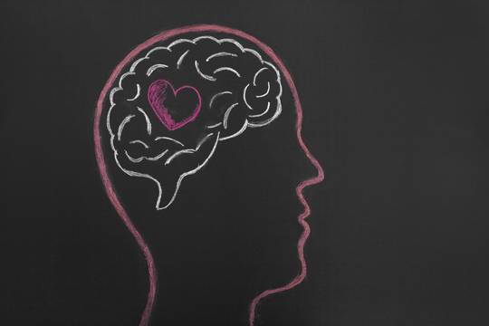 chalk board drawing with heart inside of brain