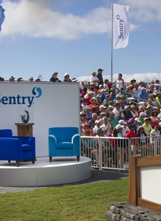 Sentry at a tournament.